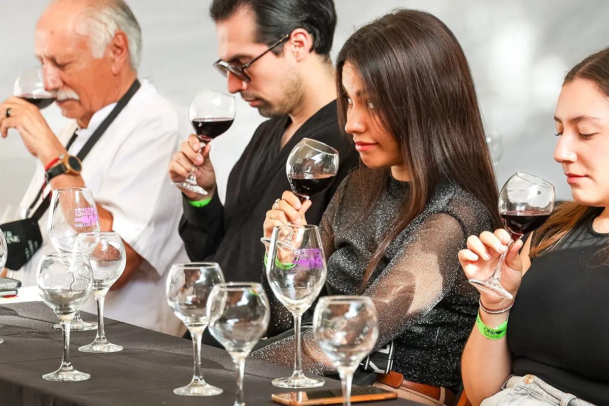 Festival-del-vino-catas-premium