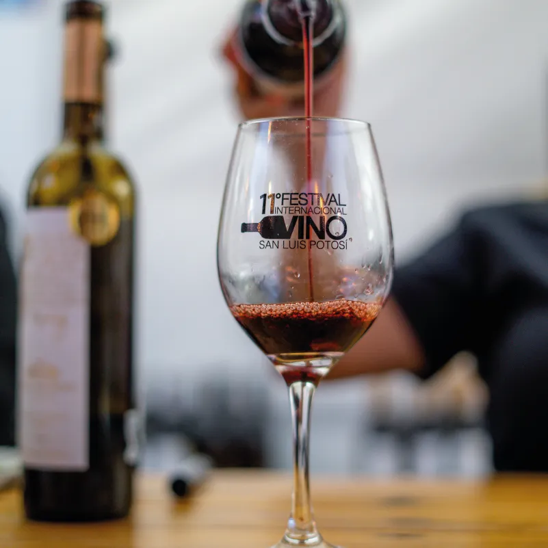 wine-tasting